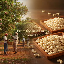 Load image into Gallery viewer, W180 | Whole Cashew | Kaju